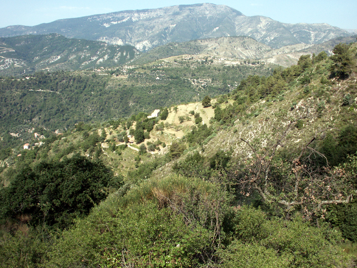 2004-07 Lucéram 000.jpg - DCF 1.0